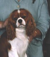 Max