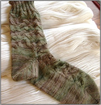 Teosinte_sock Teosinte_sock