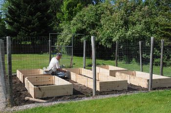 Raised boxes completed