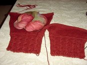 Sleevealpaca_1