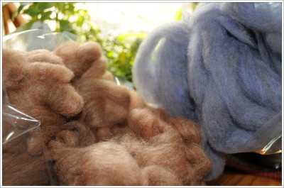 Woolybun_roving Woolybun_roving