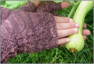 Mitt_squash_3 Mitt_squash_3