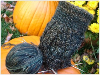 Roasted_chestnut_cardigan_sock Roasted_chestnut_cardigan_sock