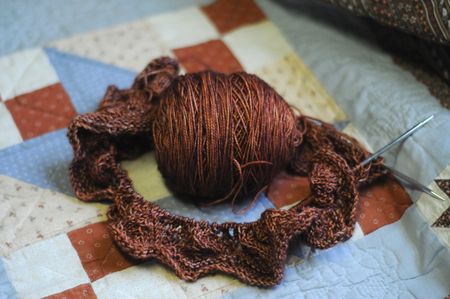 Biscuitstart Biscuitstart