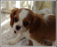 12week_emily_good 12week_emily_good