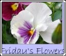 Friday_flowers_2