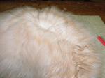 peterfiber