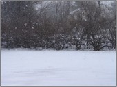 Snowing_1