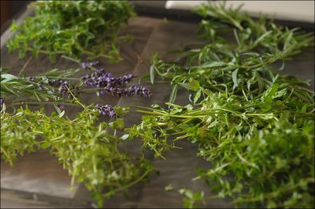 Herbs on screen