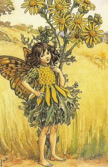 Ragfairy