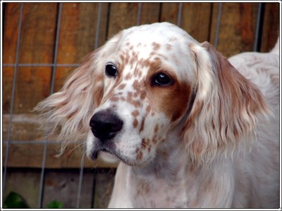 Maggie_headshot_45mos