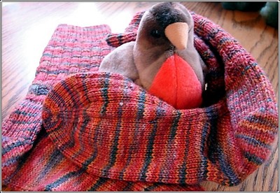 Basketweave_socks Basketweave_socks