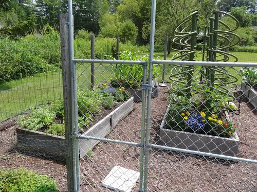 Midsummergarden Midsummergarden