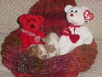 Valentine_1
