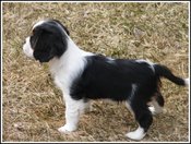 8wk_giorgio_profile_2