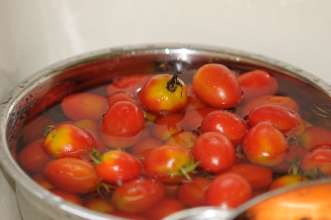 Bowl of tomatoes