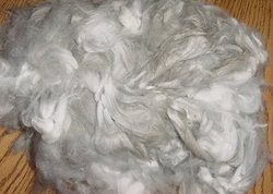 Babybunwool