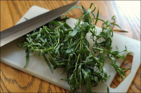 Tarragon