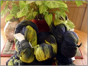 Malabrigio