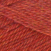 Redmaple_1