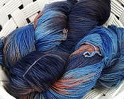 Tt_bluegoose_118