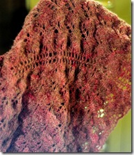 moth color moth color