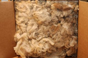 Morrit Merino fleece