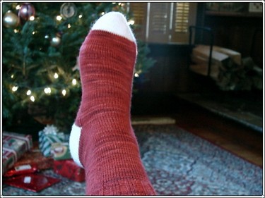 Redsock_1 Redsock_1