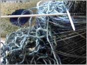 Lady_blue_rip Lady_blue_rip