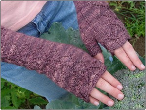 Orchid_mitt2_5 Orchid_mitt2_5