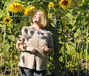 Hey Teach and Sunflowers