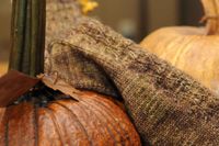 First tesserae close