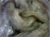 Mohair_border_l_roving_4