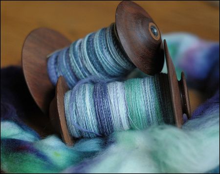 Splish Splash Let it Be