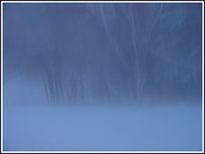 Snowfog2