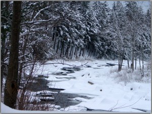 Winter_wildcat_river