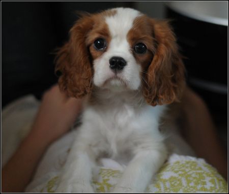 Benchmark Fairy Tale1