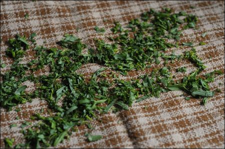 Dried Tarragon