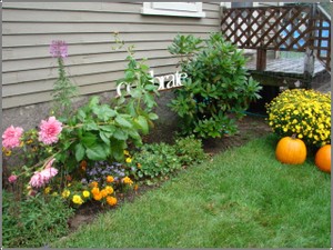 Strange_october_flowers Strange_october_flowers