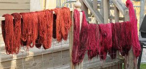 Wet Harmony MS and CB