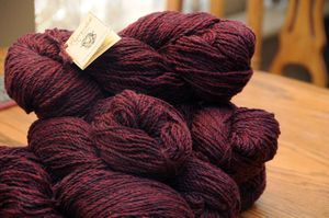 Beaverslide chokeberry