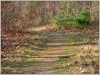 Trail_head_1