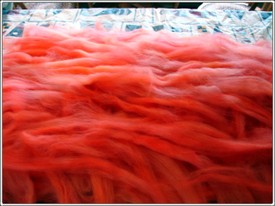 Orange_dry_wool_1 Orange_dry_wool_1