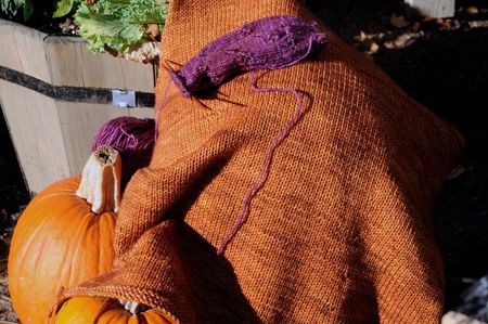 Fallknits1
