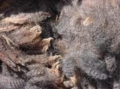Brownfleece