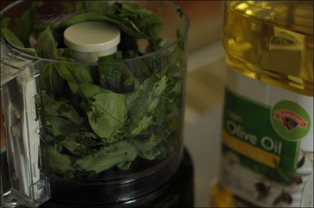 Basil in food processor