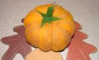Pumpkin1