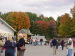 Foliagepeople