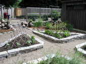 Lower_garden_061806_1