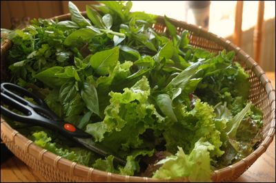Basket of greens 2010